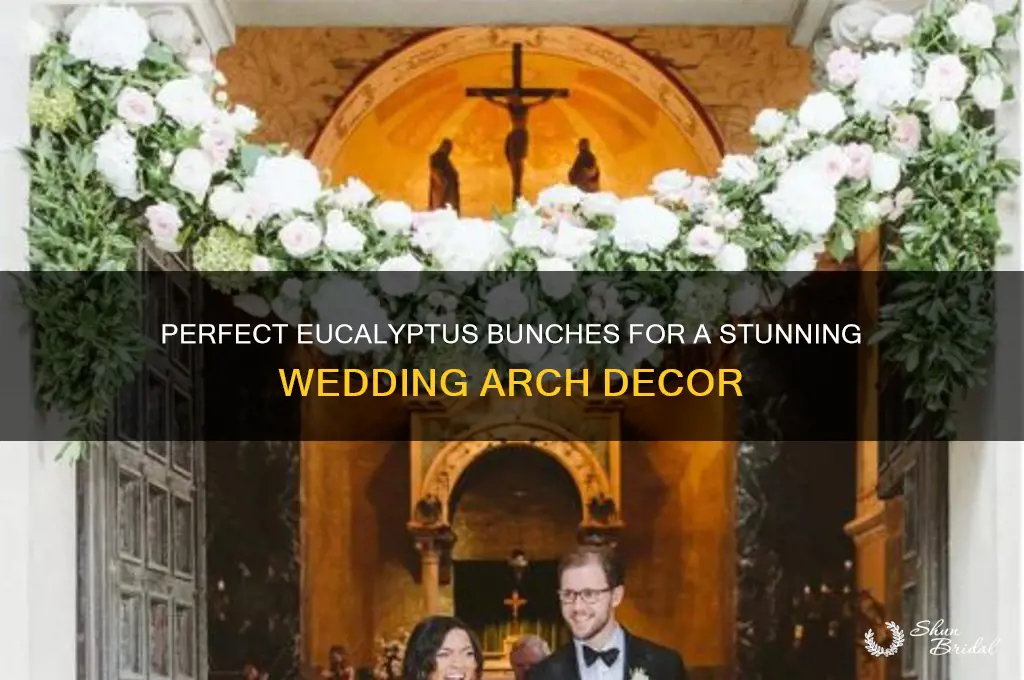 how many bunches of eucalyptus for a wedding arch