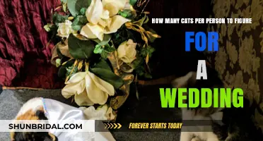 Planning Your Wedding: Calculating the Perfect Cat-to-Guest Ratio