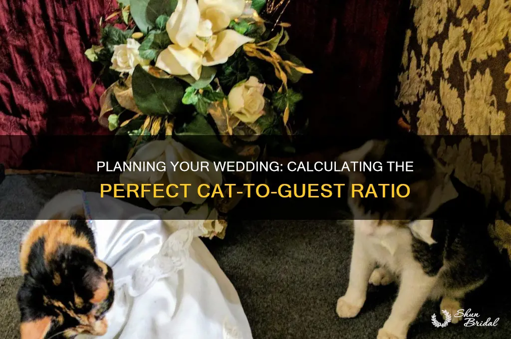 how many cats per person to figure for a wedding