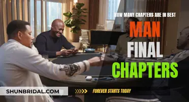 Best Man: Final Chapters – A Comprehensive Conclusion