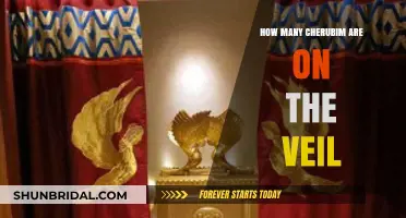 Unveiling the Mystery: Cherubim Count on the Temple Veil