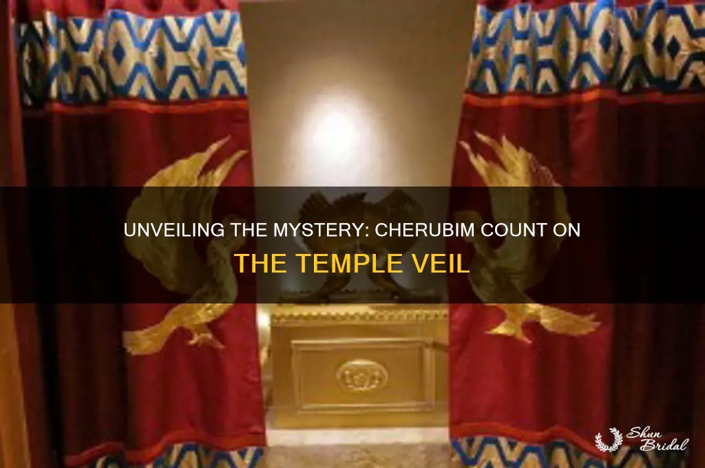 how many cherubim are on the veil