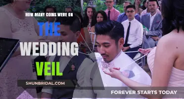 Unveiling Tradition: Counting Coins on a Wedding Veil's Significance