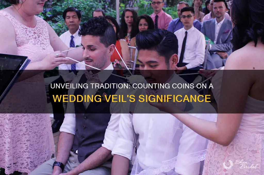 how many coins were on the wedding veil