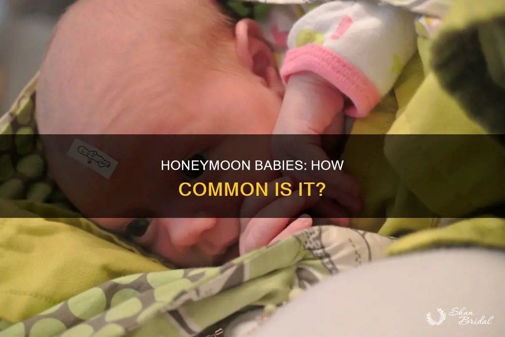 how many couples get pregnant on their honeymoon