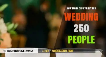Perfect Wedding Cup Count: Planning for 250 Guests