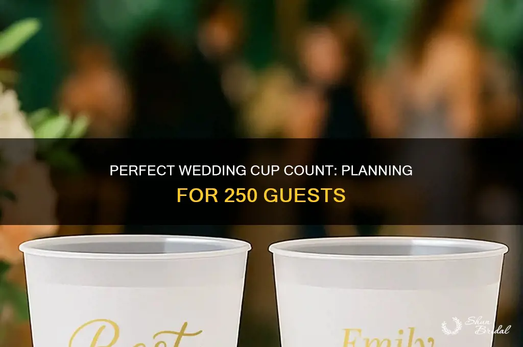 how many cups to buy for wedding 250 people