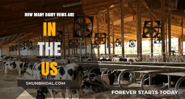 Exploring the Number of Dairy Farms Across the United States