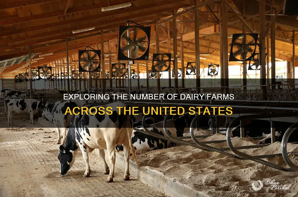 how many dairy vows are in the us