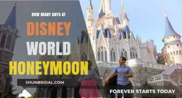 Magical Disney World Honeymoon: Planning Your Perfect Days in the Parks