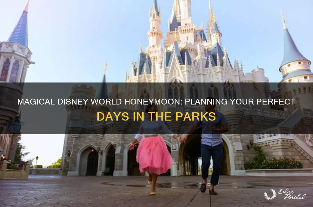 how many days at disney world honeymoon
