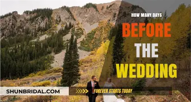 Planning Your Perfect Wedding Timeline: Days to Count Before the Big Day