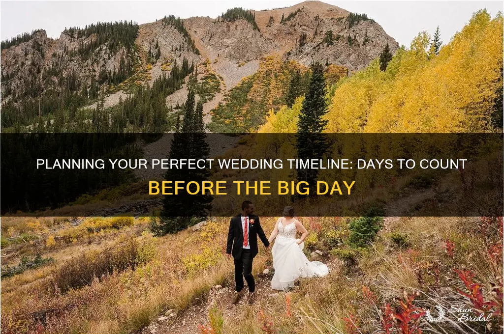 how many days before the wedding