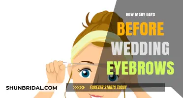 Perfect Wedding Brows: Timing Your Eyebrow Appointment Before the Big Day