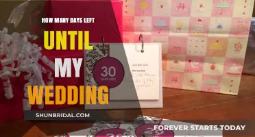 Countdown to Forever: Tracking Days Until Your Wedding Bliss