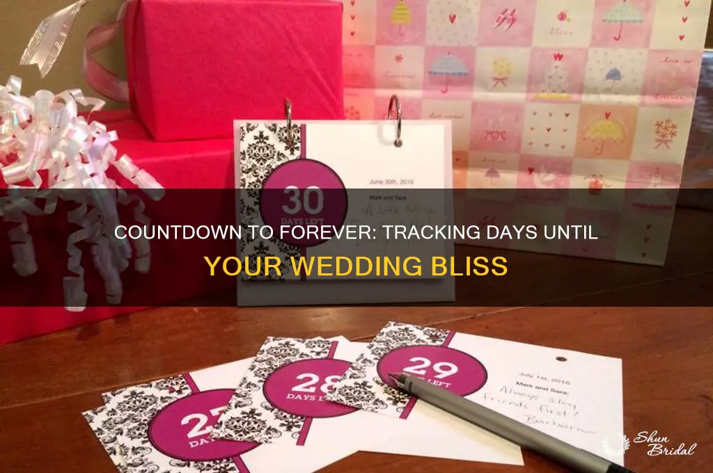 how many days left until my wedding