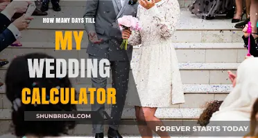 Countdown to Your Big Day: Wedding Date Calculator Guide