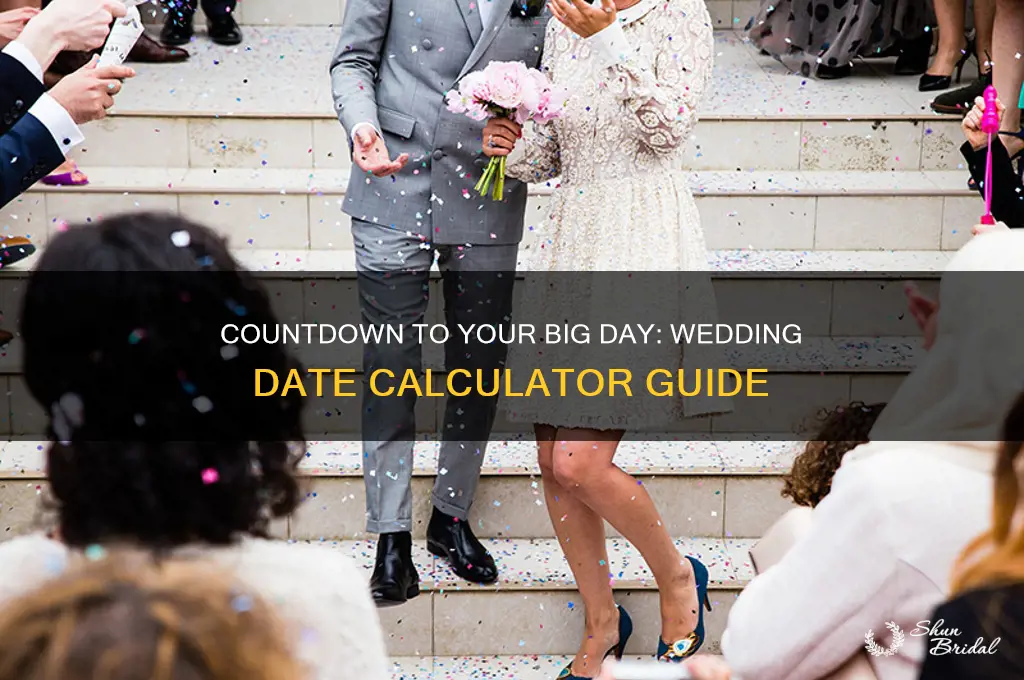 how many days till my wedding calculator