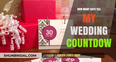 Exciting Wedding Countdown: Days Until Your Big Day Begins!