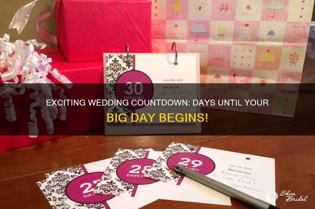 how many days till my wedding countdown