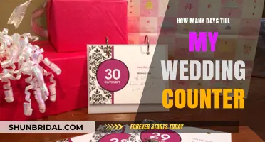 Countdown to 'I Do': Tracking Days Until Your Wedding