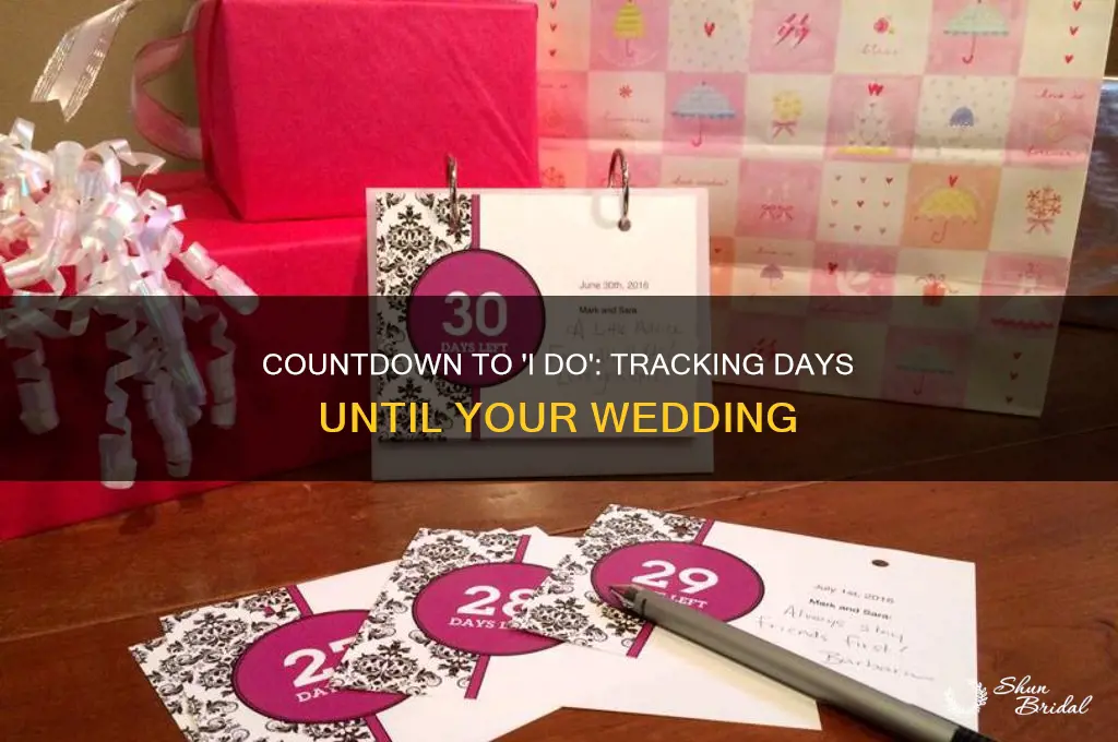 how many days till my wedding counter