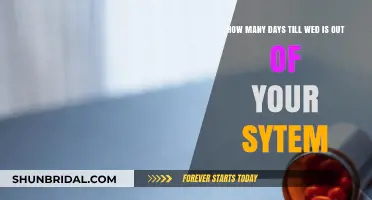 How Long Does It Take for Wed to Leave Your System?