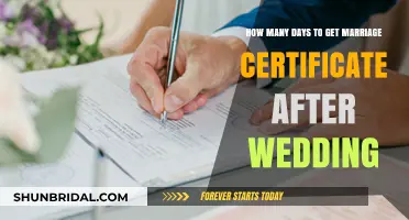Marriage Certificate Timeline: How Long After Your Wedding Day?