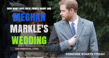Counting Down: Days Remaining Until Harry and Meghan's Royal Wedding