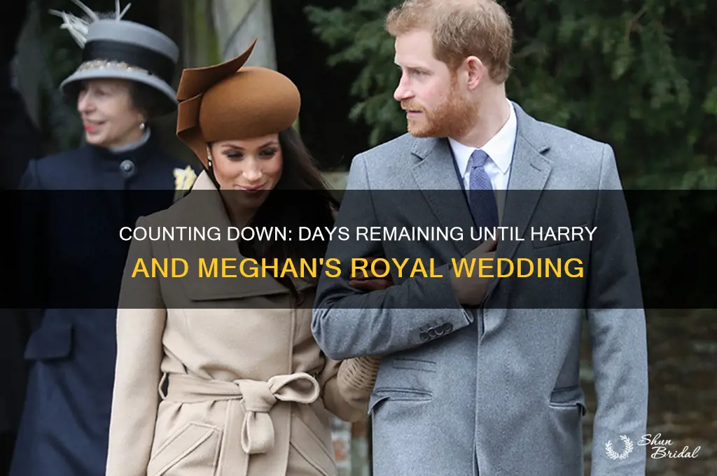 how many days until prince harry and meghan markle