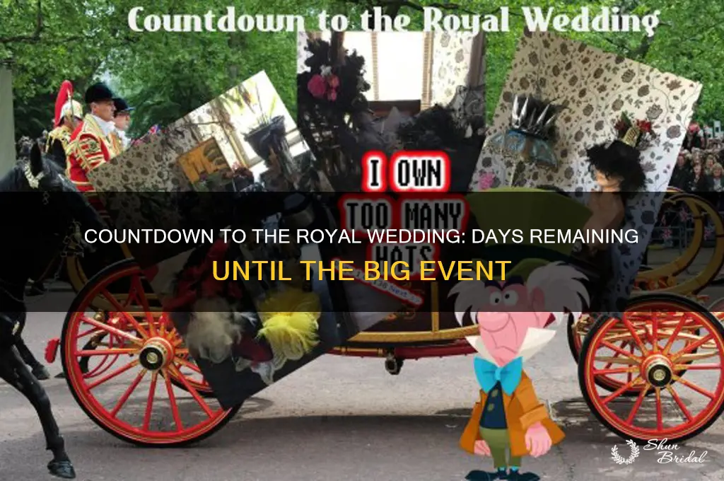how many days until royal wedding