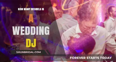 Understanding Wedding DJ Decibel Levels: Safe and Enjoyable Volume Guide