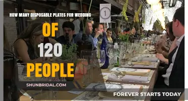 Disposable Plate Planning: Catering for 120 Wedding Guests Effortlessly