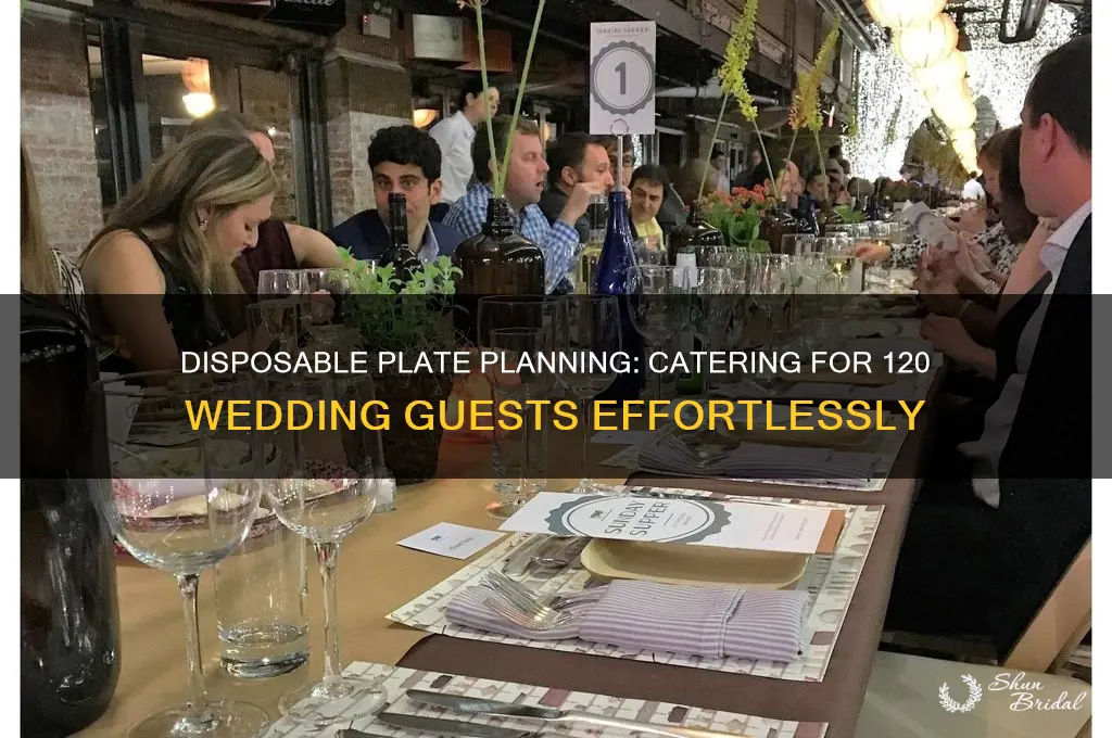 how many disposable plates for wedding of 120 people