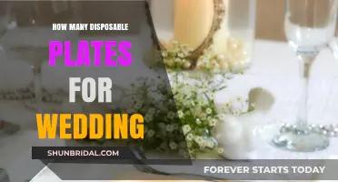 Choosing the Right Number of Disposable Plates for Your Wedding