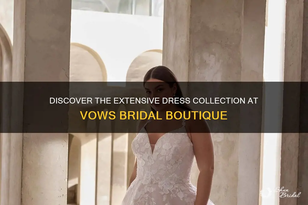 how many dresses does vows carry