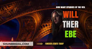 The Veil Series: Episode Count and What to Expect