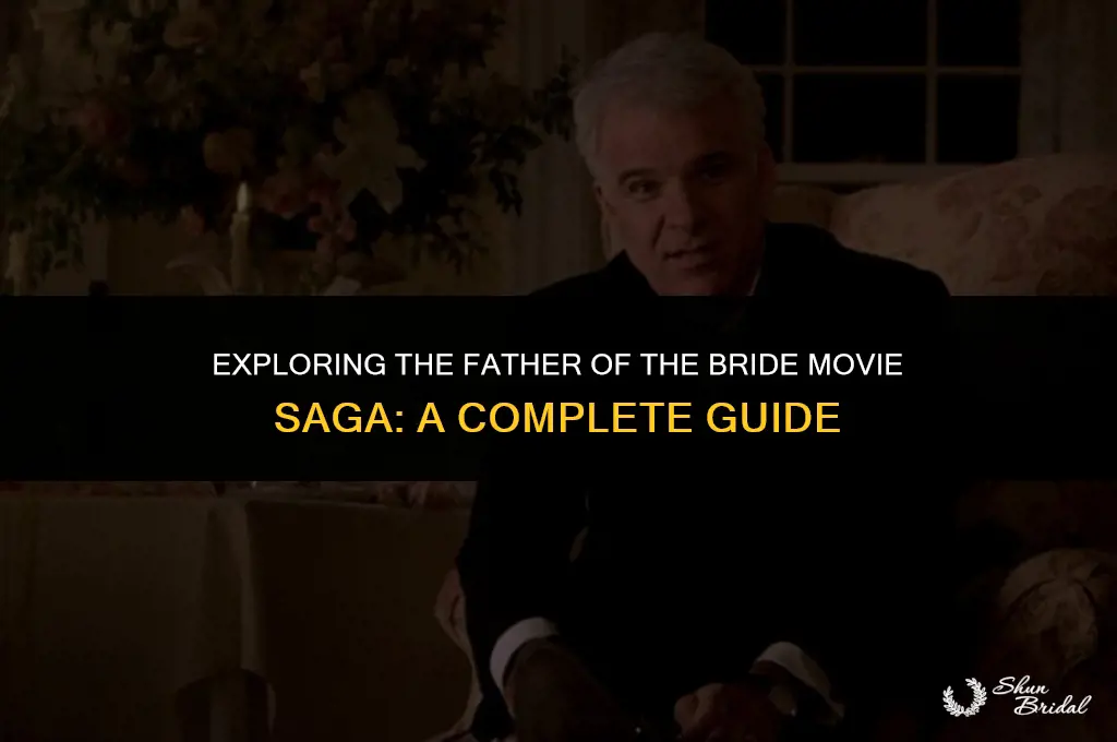 how many father of the bride movies are there