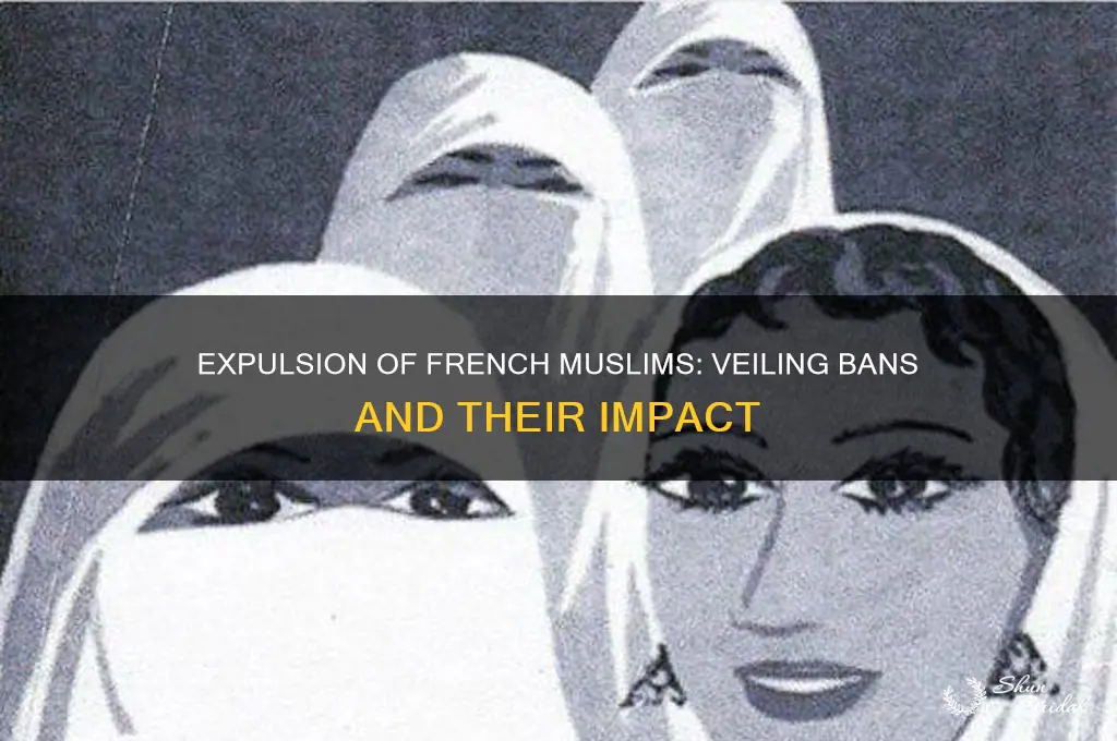 how many french muslims have been expelled for veiling