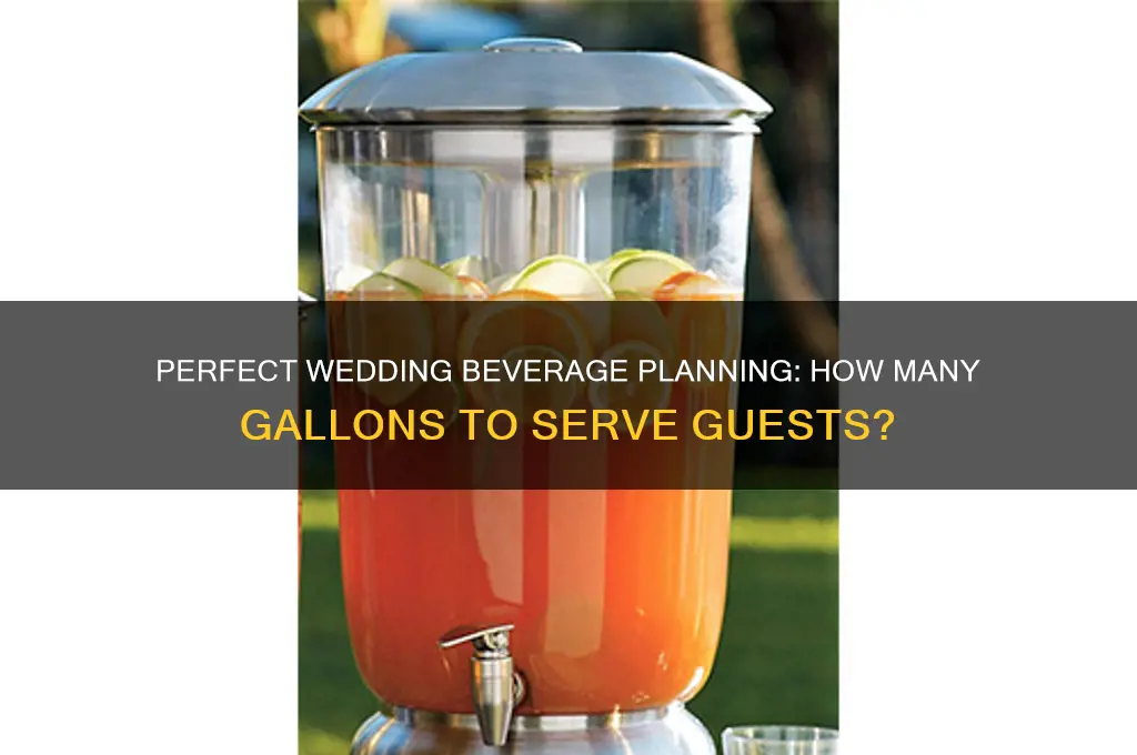 how many gallons of drink for wedding