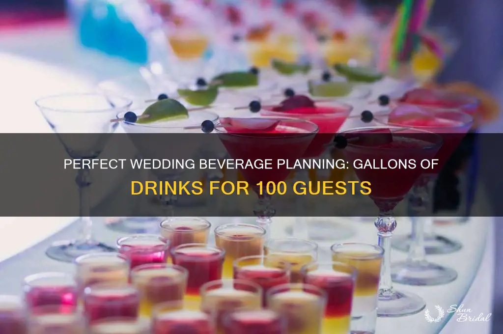 how many gallons of drinks for 100 people wedding