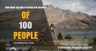 Planning a 100-Guest Wedding: Essential Water Quantity Guide