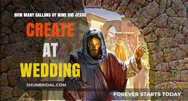 Jesus' Wedding Miracle: Unveiling the Gallons of Wine Created