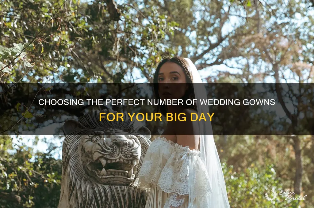 how many gowns for wedding