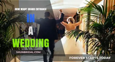 Stunning Wedding Grand Entrances: How Many Should You Plan?