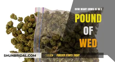 Understanding Weight Conversion: Grams in One Pound of Weed Explained