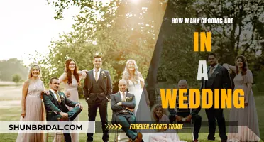 Understanding the Role and Number of Grooms in Modern Weddings