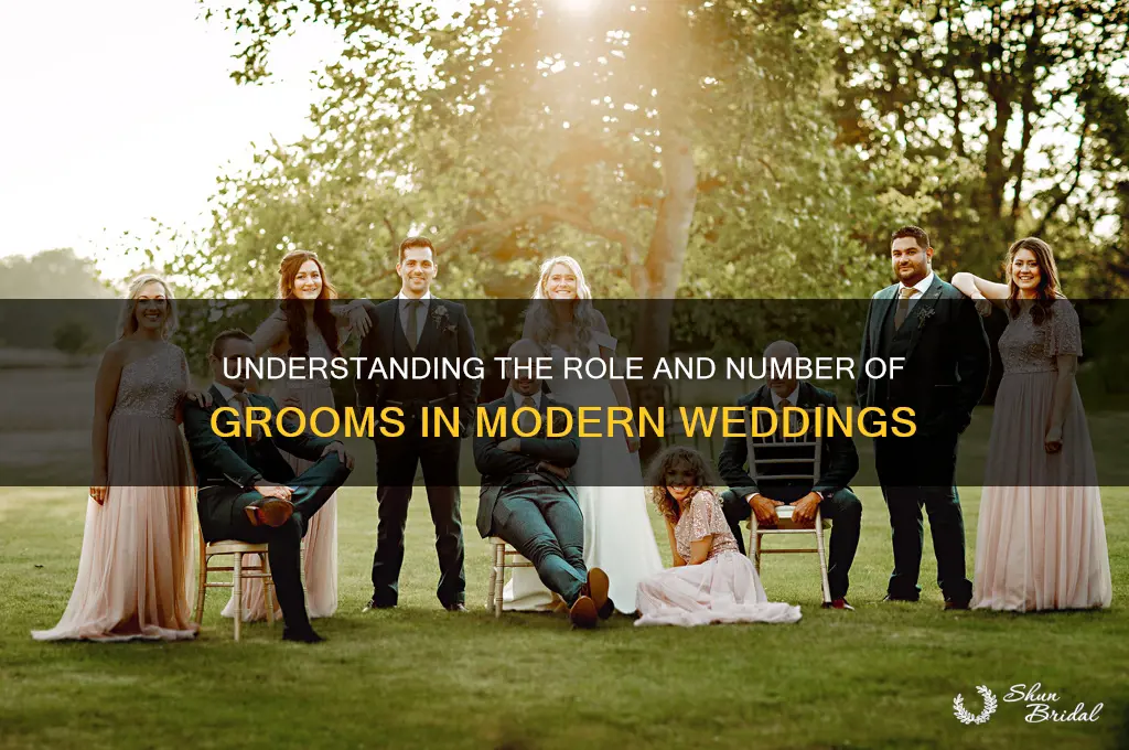 how many grooms are in a wedding