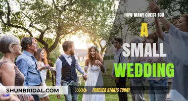 Intimate Celebrations: Ideal Guest Count for a Small Wedding
