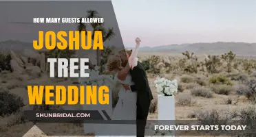 Joshua Tree Wedding Guest Limits: Planning Your Intimate Desert Celebration